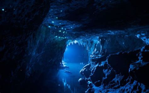 Glowing Grubs Light Up Underwater Caves Underwater Caves Long