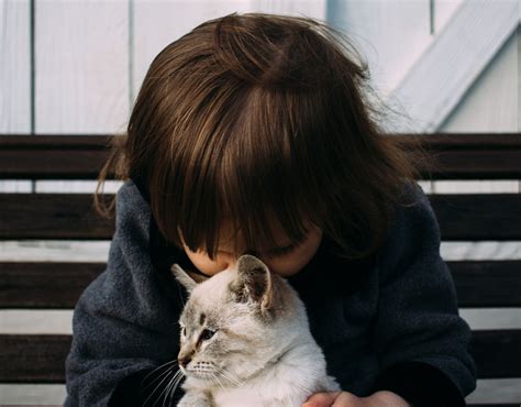 Why We Need To Teach Kids To Be Kind To Animals