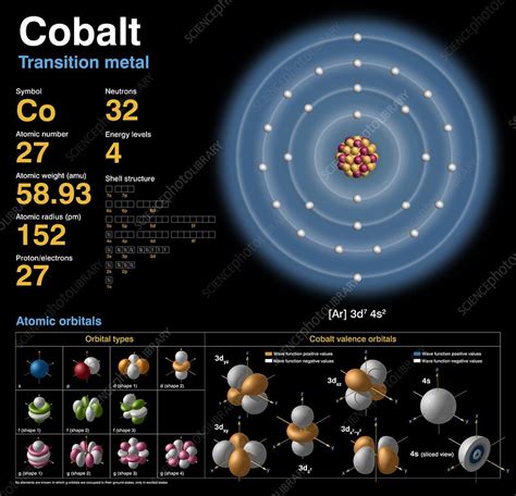 Cobalt, atomic structure - Stock Image - C018/3708 - Science Photo Library