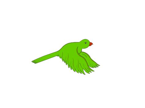 Parrot Animation Pic Clipart Best Vrogue Co