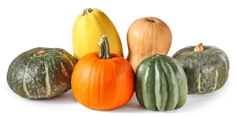 Winter Squash How To Cook In The Kitchen