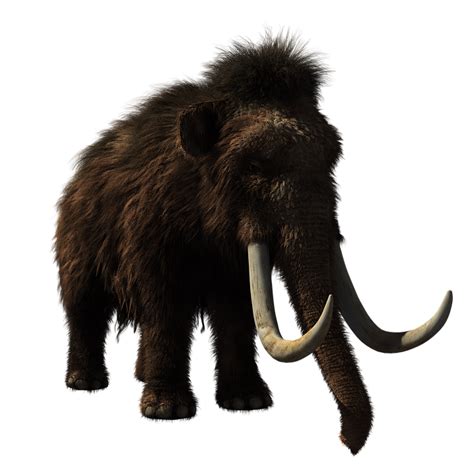 Woolly Mammoths Will Be Roaming The Earth Again In Two Years Wjjk Fm