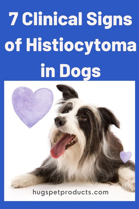 7 Clinical Signs Of Histiocytoma In Dogs Dogs Mast Cell Tumor Dogs