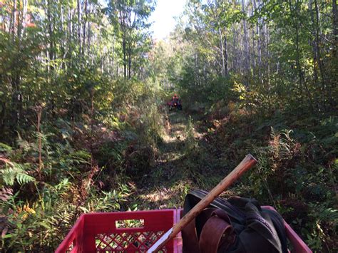 Hunting Big Woods Bucks In Wilderness Settings Muddy Outdoors