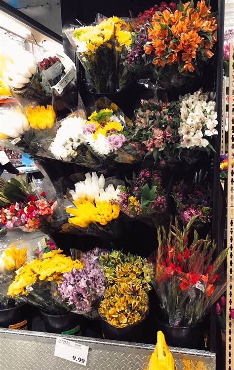 After checking the prices they had over charged me $1.20.i tought i made a mistake when i looked at the prices,so i when back and check the price on the sign in front of the items.i had seen right. Fake Orchid Plant Costco - Home Ideas