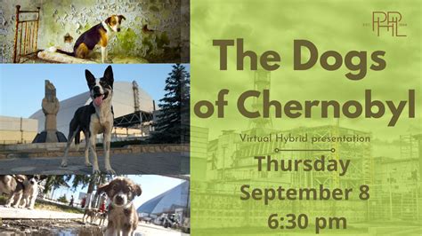 Sep 8 The Dogs Of Chernobyl A Story Of Hope And Resilience Hybrid