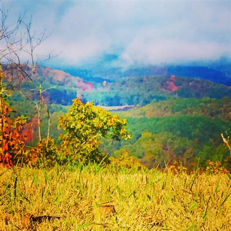 Fall In Blue Ridge Georgia Love Bus Pups And Us