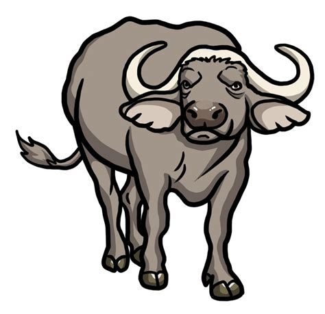 How To Draw A Buffalo Drawing Easy Guides Easy To Draw Everything