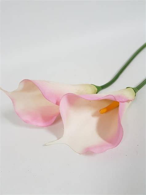 Calla Lily Large Soft Pink Desflora