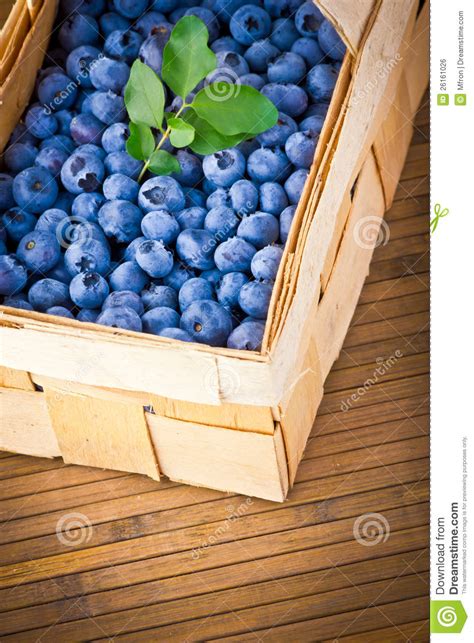 Basket Full Of Fresh Sweet Blueberries Stock Photo Image Of