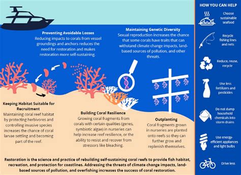 Noaas Coral Reef Conservation Program Crcp Infographics Gallery