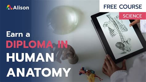 Diploma In Human Anatomy And Physiology Free Online Course With