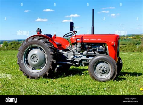 Ein Oldtimer-Traktor Massey Ferguson 35. Anmeldung WAM 375 auf dem