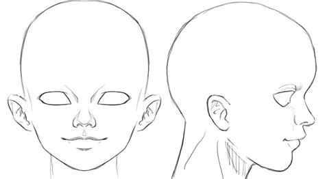 We did not find results for: Ortho head reference by Athey on DeviantArt