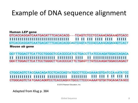 PPT Sequencing A Genome And Basic Sequence Alignment PowerPoint