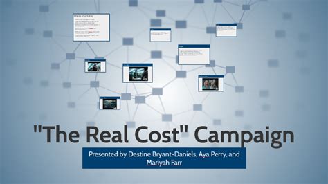 The Real Cost Campaign By Destine Daniels