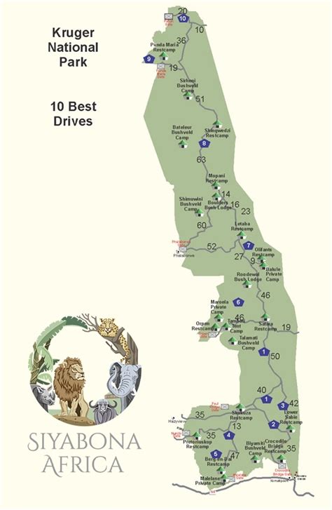 Kruger National Park Map Where To Find Animals In The Kruger National