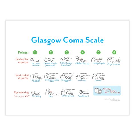 Glasgow Coma Scale Gcs Print Sketchy Medicine Shop