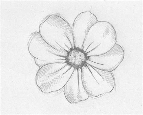 Disegno facile di un fiore disegni semplici disegni a matita e. 1001 + Idee per Fiori da colorare per bambini e adulti