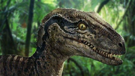 Jurassic Parks Most Popular Dinosaurs Ranked Fandom