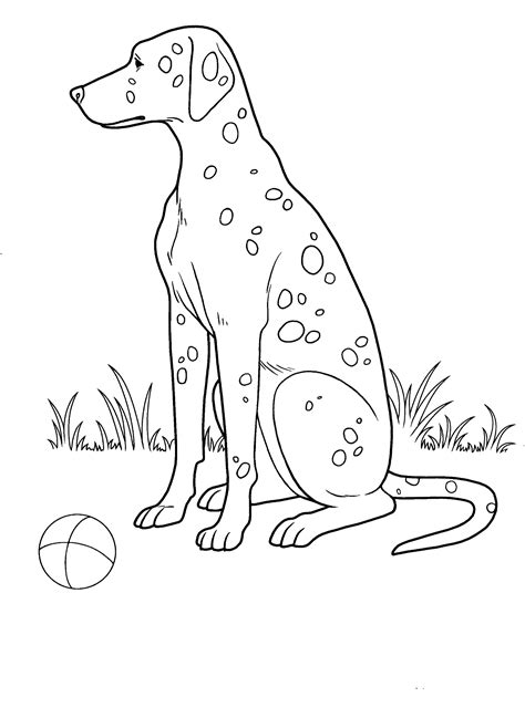 Coloring Pages Of Dogs Get This Printable Coloring Pages Of Dogs 73400
