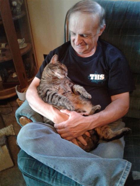 Cat Demands Cuddles From His Dad Every Single Morning The Dodo