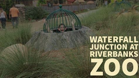 Waterfall Junction At Riverbanks Zoo Youtube