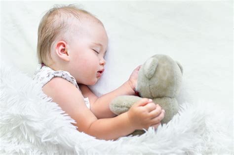 4k 5k 6k Teddy Bear White Background Infants Sleep Hd Wallpaper