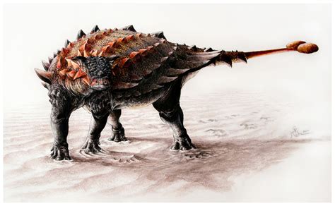 Spiked Armoured Dinosaur Ziapelta Discovered In New Mexico Has