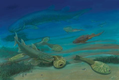 Xitun Life In The Early Devonian By Gogosardina Prehistoric Wildlife