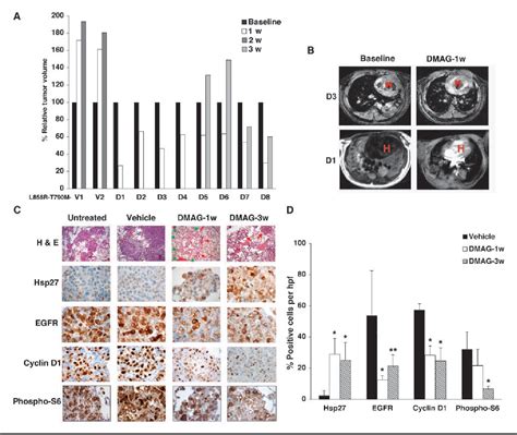 Figure From Hsp Inhibition Suppresses Mutant Egfr T M Signaling