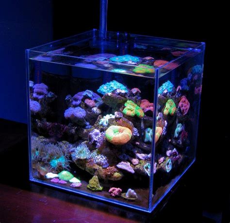 Feature Aquarium Ecoreef One A New Kind Of Nano Reef