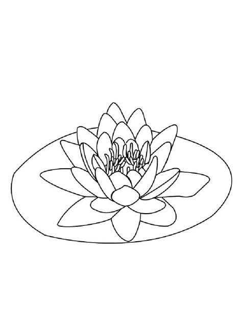 Water lily lily pad coloring page. Water lily coloring pages. Download and print Water lily ...