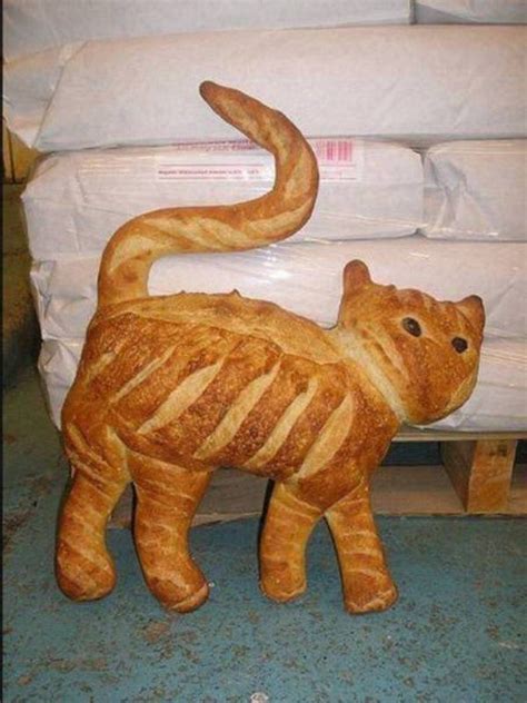Funny Cat 30 Pictures Cat Bread Bread Art Cat Food
