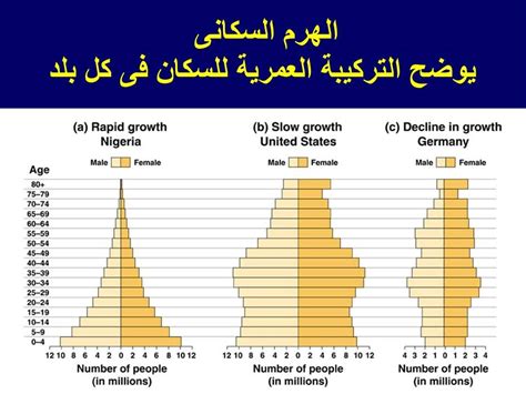 بحث عن التعداد السكاني