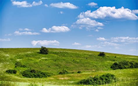Download Wallpaper 3840x2400 Meadow Grass Bushes Hill Landscape 4k