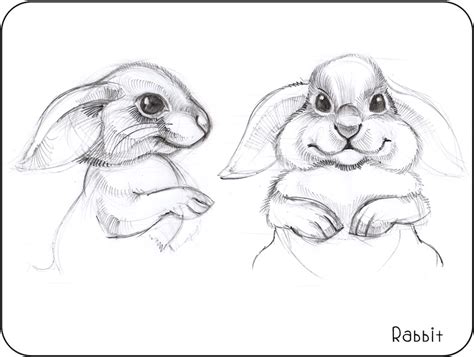 Stuffed Animal Sketch At Explore Collection Of