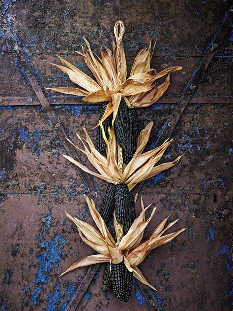 Dark Corn Stalk Decor Ethical Style For Halloween Diy Corn Stalk