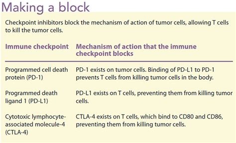 Introduction To Immunotherapy What Nurses Need To Know About Emerging