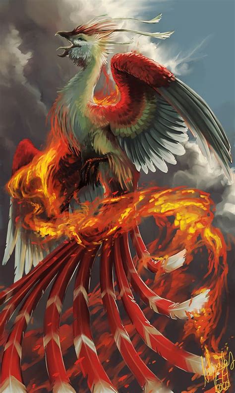 17 Best Images About Phoenix Bird Of Fire On Pinterest Phoenix