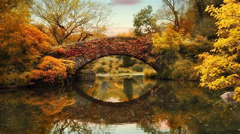 Beautiful Bridge Colorful Autumn Trees Leaves Reflection On Body Of