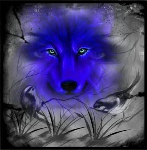 Purple Wolf Spirit Animal Fantasy Wolf Wolf Art