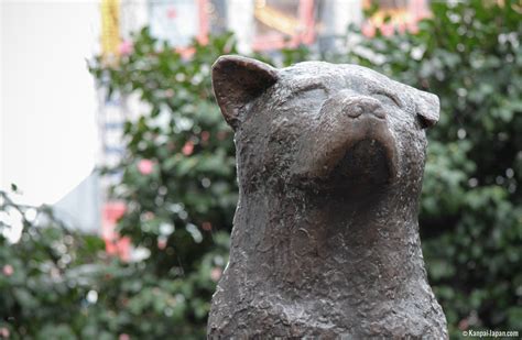 Hachiko The Statue Of Shibuyas Faithful Dog