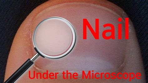 Nail Under The Microscope Youtube