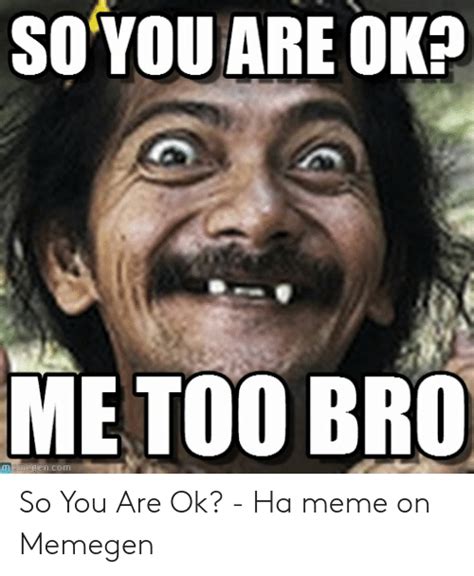 Soyou Are Ok Me Too Bro Mamegencom So You Are Ok Ha Meme On