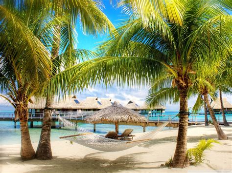 Tropical Beach Screensavers And Wallpaper Images