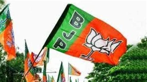 Chhattisgarh Elections Bjp Releases Second List Of Candidates