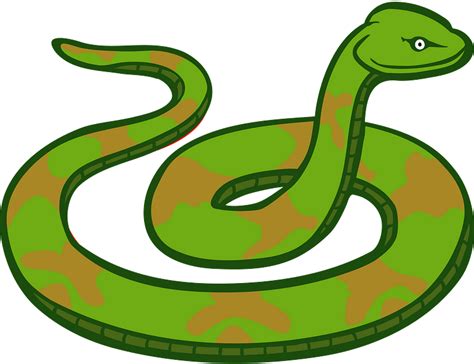 Page For Clipart Snake Free Cliparts Png Clipart Snake Snake The Best Porn Website