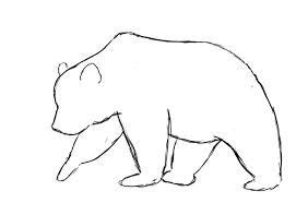 bear outline - Google Search | Bear tattoos, Bear drawing, Outline drawings