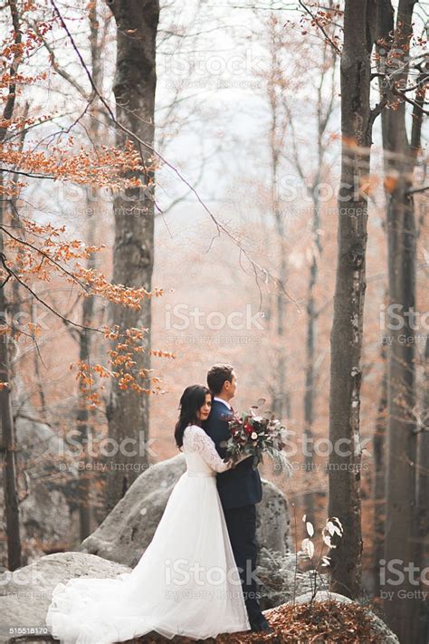 Gorgeous Wedding Couple Kissing And Hugging In Forest With Big Stock